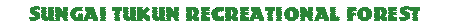 main.gif (1089 bytes)